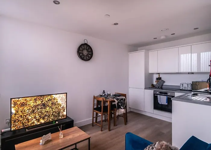 Stay Zeni, Alexandra Rise Manchester Fab Studio
